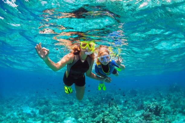 Initiation à la plongé sous-marine cet été